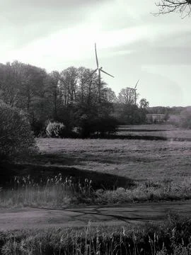 Wind Turbines Behind a Forest Screen Фото