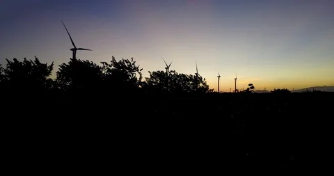 Wind turbines behind trees sunset Stock Footage 107277698