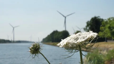 Wind turbines at canal Stock Footage 92124914