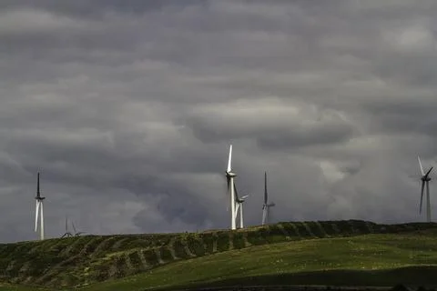 Wind Turbines, with cloudy sky as copyspace. Stock Photos