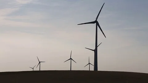 Wind turbines in a corn field, Austria Stock-Footage 71085243