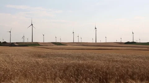 Wind turbines in a corn field, Austria Stock Footage 71085637