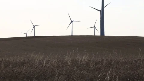 Wind turbines in a corn field, Austria Stock-Footage 71085678