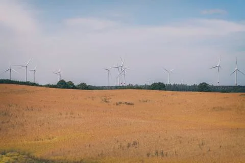 Wind turbines - cornfield 库存照片