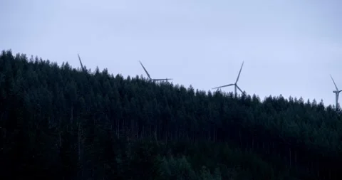 Wind turbines emerge from the forest. Stock Footage 325957412