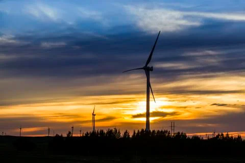 Wind turbines in the evening Stock Photos