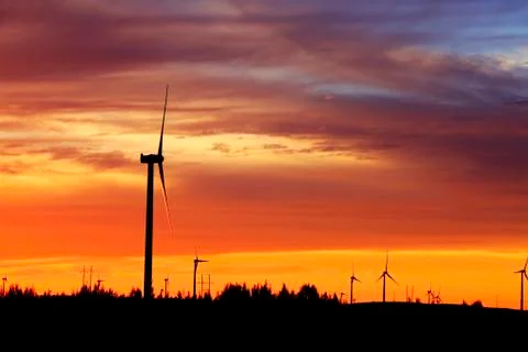 Wind turbines in the evening Stock Photos