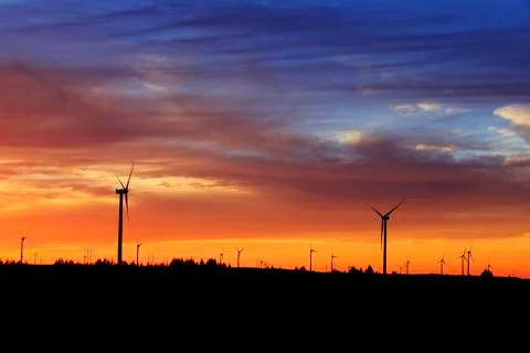 Wind turbines in the evening Stock Photos