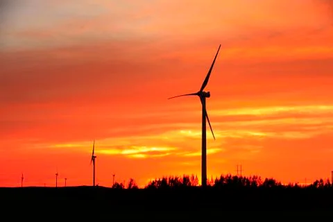Wind turbines in the evening Stock Photos