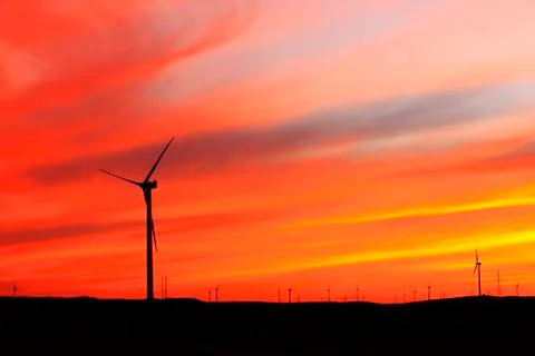 Wind turbines in the evening Stock Photos