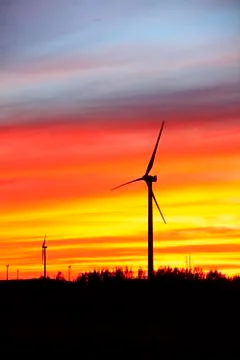 Wind turbines in the evening Stock Photos