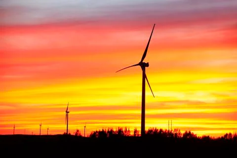 Wind turbines in the evening Stock Photos
