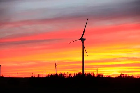 Wind turbines in the evening Stock Photos
