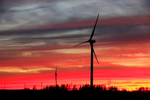 Wind turbines in the evening Stock Photos