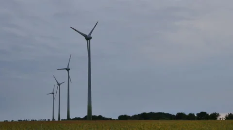 Wind turbines in a field Stock Footage 53124245
