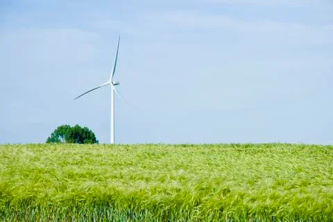 Wind turbines at the field Stock Photos