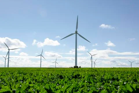 Wind turbines on a field Stock Photos