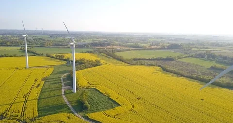Wind turbines in the field scenic view 4k video Stock Footage 116535950
