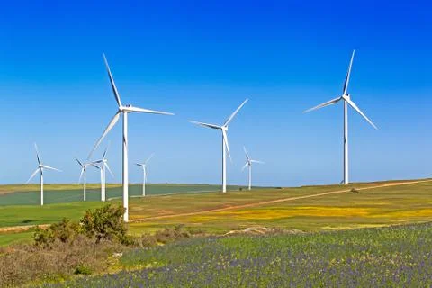 Wind Turbines in flowering fields in spring, South Africa Stock Photos