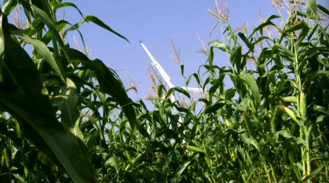 Wind turbines Stock Footage 154059