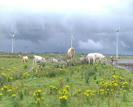 Wind turbines Stock Footage 605499