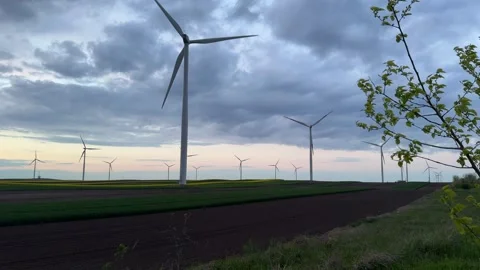 Wind Turbines Framed by Wild Plants at Sunset in Rural Landscape Stock-Footage 335810653