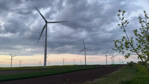 Wind Turbines Framed by Wild Plants at Sunset in Rural Landscape Stock Footage 335810657