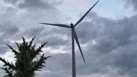 Wind Turbines Framed by Wild Plants at Sunset in Rural Landscape Stock Footage 335810710