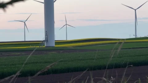 Wind Turbines Framed by Wild Plants at Sunset in Rural Landscape Stock Footage 335810711