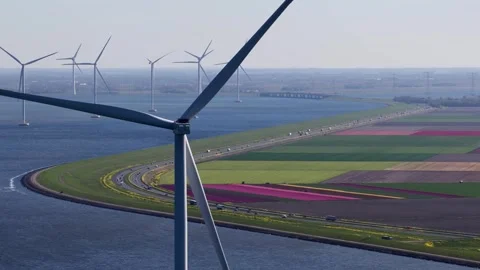 Wind turbines generating clean energy over colorful tulip fields in the Vídeo Stock 333566527
