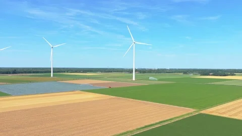 Wind turbines generating clean energy over red cabbage fields in the netherlands Stock Footage 341875372