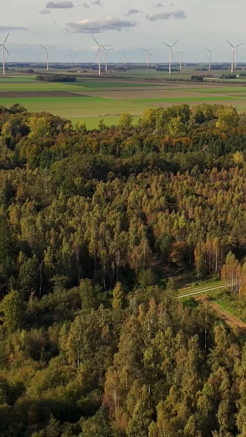 Wind turbines generating renewable energy above forest Stock-Footage 327108583
