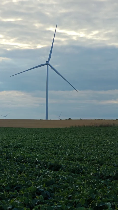 Wind turbines generating renewable energy in green field at cloudy sunset Stock Footage 341097782