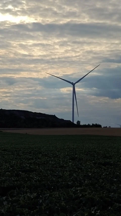 Wind turbines generating renewable energy in green field at cloudy sunset Stock Footage 341097804