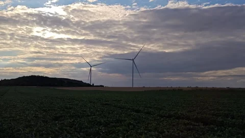 Wind turbines generating renewable energy in green field at cloudy sunset Stock Footage 341130013