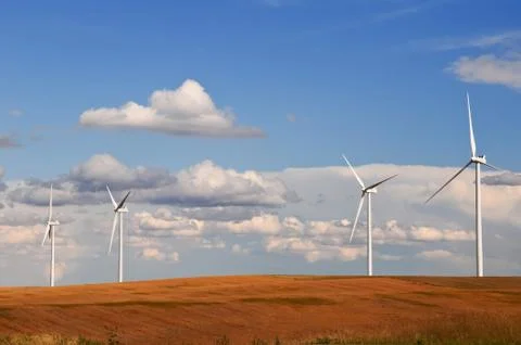 Wind Turbines In The Grain Fields Stock Photos