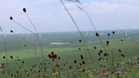 Wind Turbines on the Grassland Stock Footage 333323475
