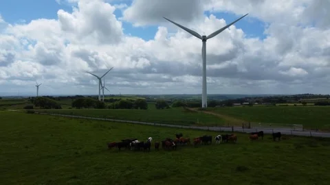 Wind Turbines with Grazing Cattle on Rolling Farmland. Exmoor Devon Видео 338061689