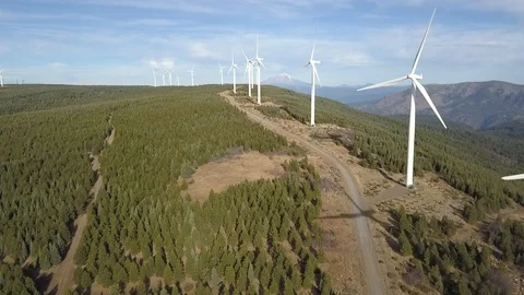 Wind turbines at Hatchet Ridge, California Stock Footage