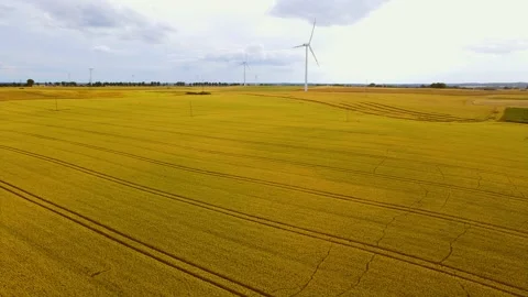 Wind turbines at high altitude with fields of agricultural barley crops Stock Footage 209571945