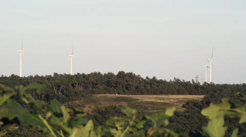 Wind turbines on hill with trees Video stock 40669201