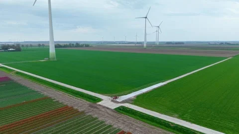 Wind turbines over tulip fields in the Netherlands. Stock Footage 307105048