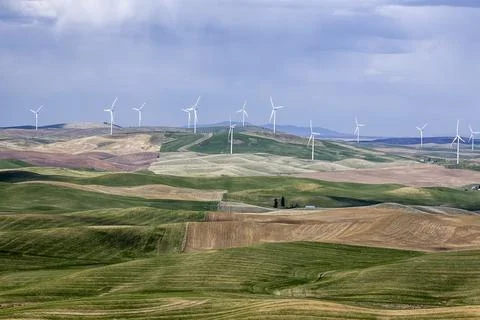 Wind turbines on the Palouse. Stock Photos