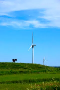 Wind turbines Stock Photos