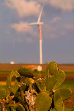 Wind turbines Stock Photos