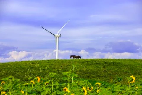 Wind turbines Stock Photos