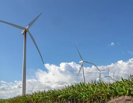 Wind turbines Stockfoto's