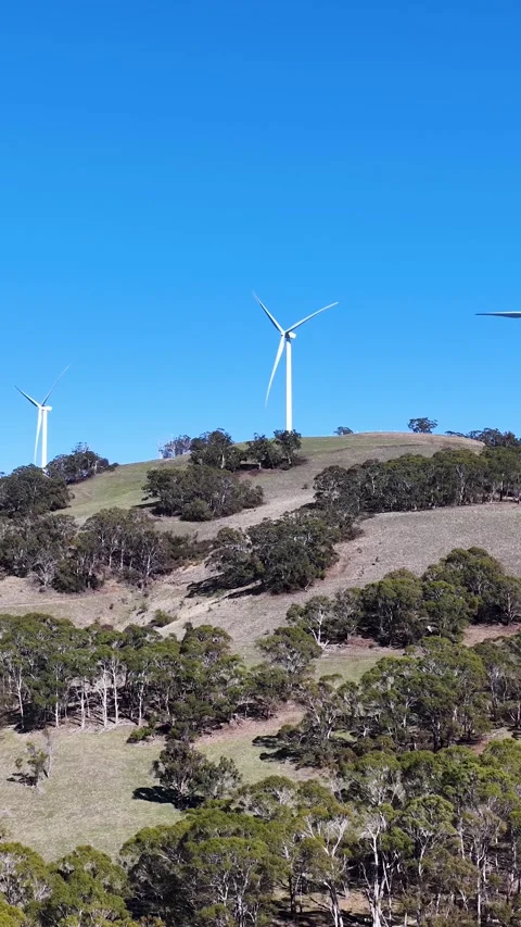 Wind Turbines Rotating on Grassy Hills in New South Wales Vidéo 342580488