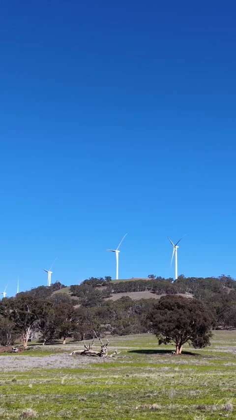 Wind Turbines Rotating on a Grassy Hillside Under Clear Blue Sky Видео 341315756