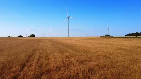 Wind turbines rotating over ripe wheat field in rural farmland Video stock 342592365